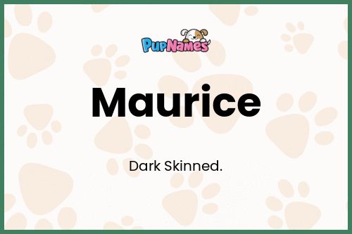 Maurice dog name meaning