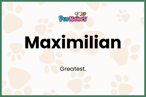 Maximilian dog name meaning