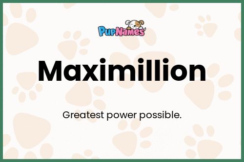 Maximillion dog name meaning