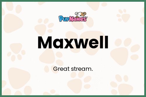 Maxwell dog name meaning