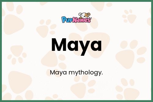 Maya dog name meaning
