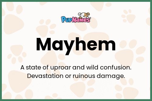 Mayhem dog name meaning