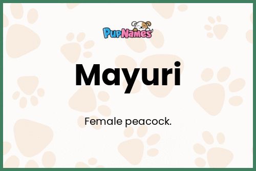 Mayuri dog name meaning