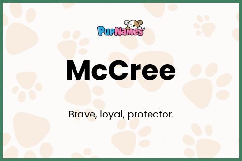 McCree dog name meaning