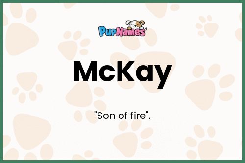 McKay dog name meaning