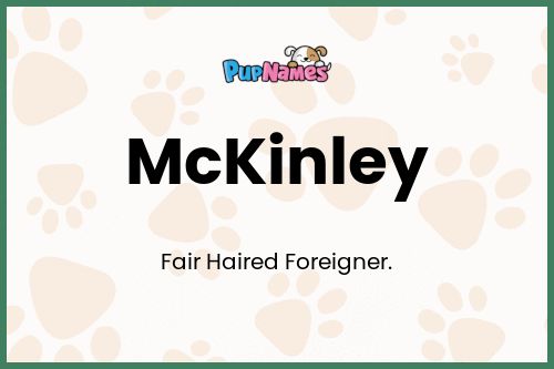 McKinley dog name meaning