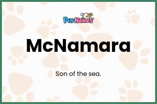 McNamara dog name meaning