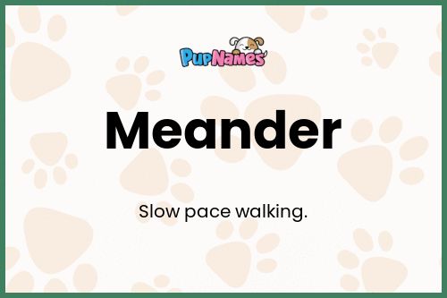 Meander dog name meaning