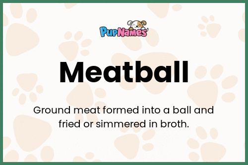 Meatball dog name meaning