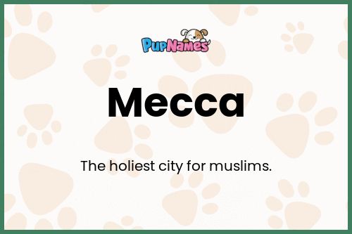 Mecca dog name meaning