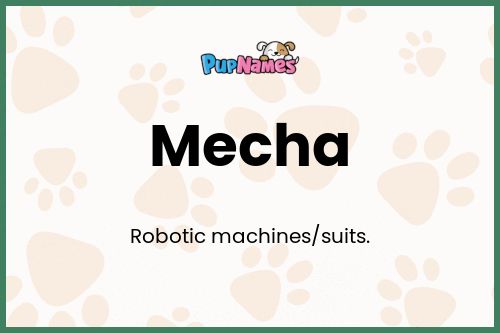 Mecha dog name meaning