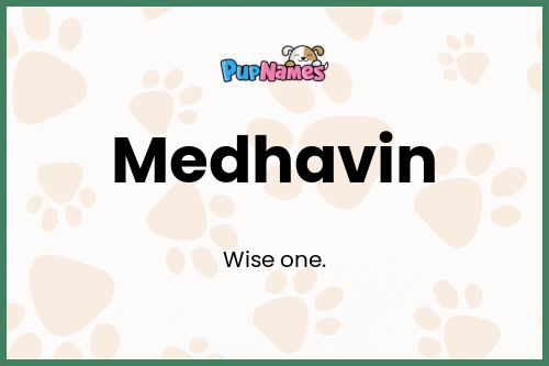 Medhavin dog name meaning