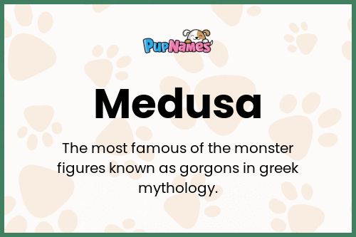 Medusa dog name meaning