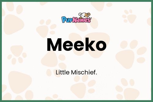 Meeko dog name meaning