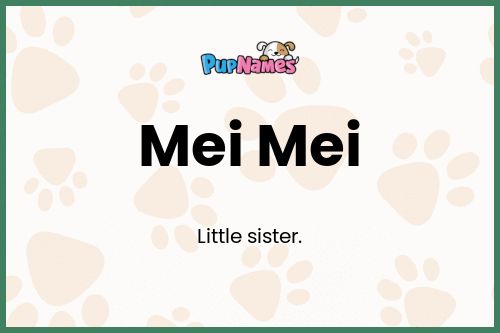 Mei Mei dog name meaning