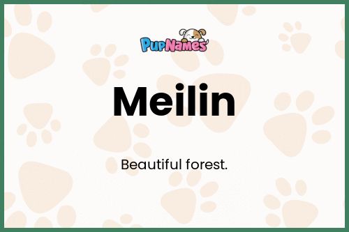 Meilin dog name meaning