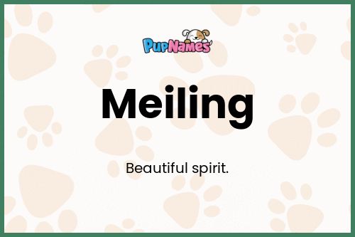 Meiling dog name meaning