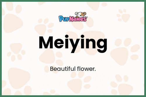 Meiying dog name meaning