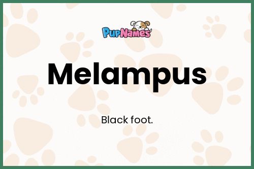 Melampus dog name meaning