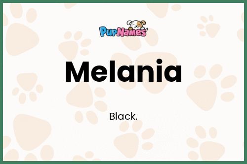 Melania dog name meaning