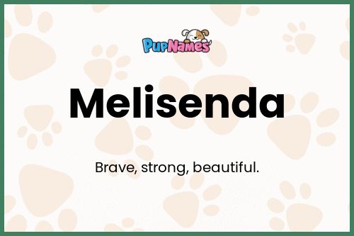 Melisenda dog name meaning