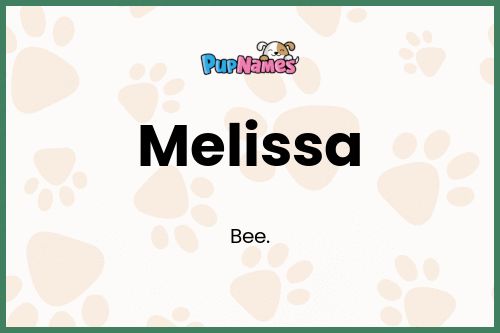 Melissa dog name meaning