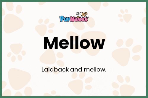 Mellow dog name meaning