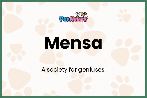 Mensa dog name meaning