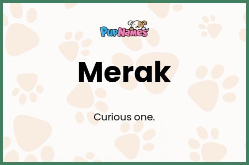 Merak dog name meaning