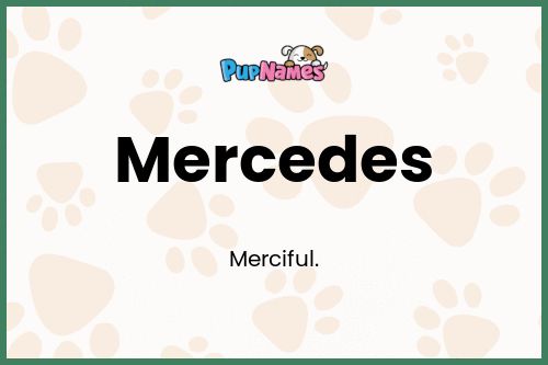 Mercedes dog name meaning