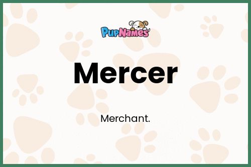 Mercer dog name meaning