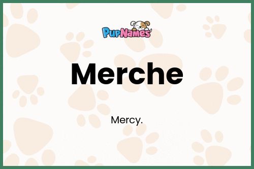 Merche dog name meaning