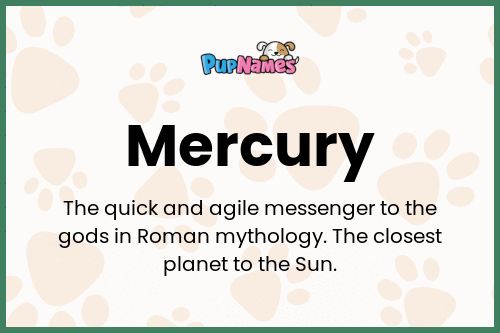 Mercury dog name meaning