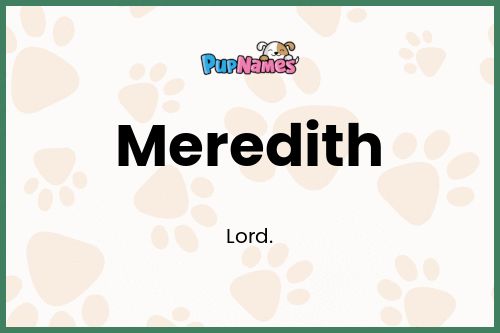 Meredith dog name meaning