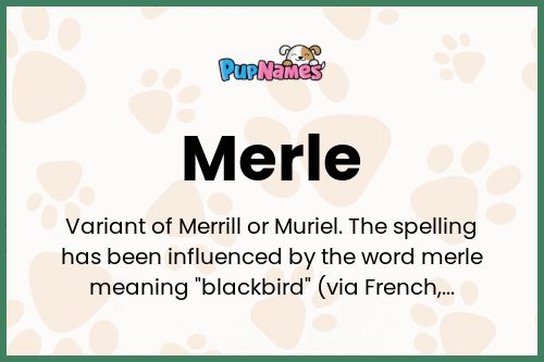 Merle dog name meaning