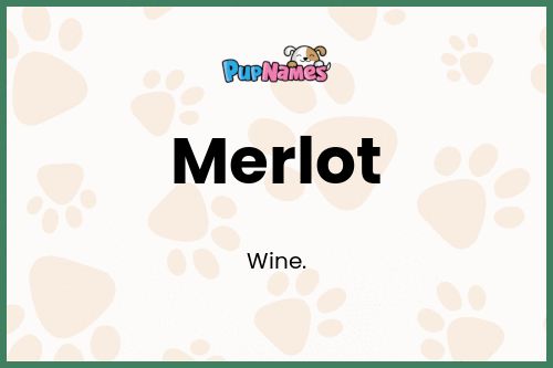 Merlot dog name meaning