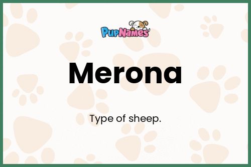 Merona dog name meaning