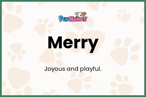 Merry dog name meaning