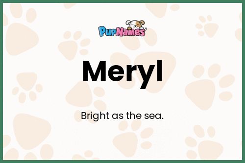 Meryl dog name meaning