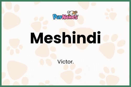 Meshindi dog name meaning