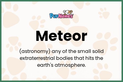 Meteor dog name meaning