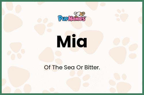 Mia dog name meaning