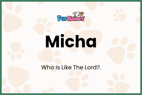 Micha dog name meaning