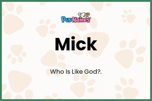 Mick dog name meaning