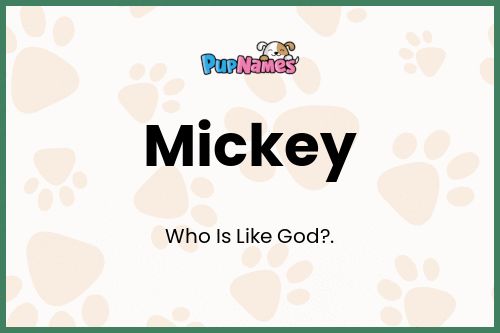 Mickey dog name meaning