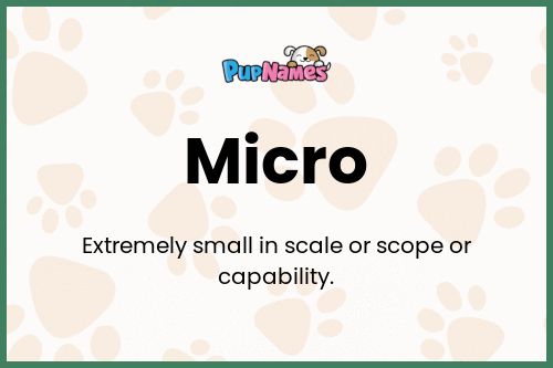 Micro dog name meaning