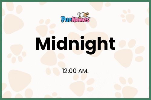 Midnight dog name meaning