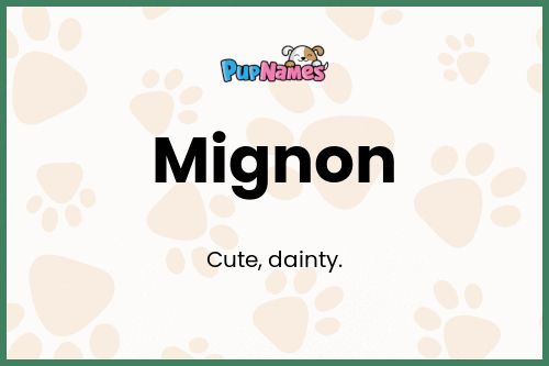 Mignon dog name meaning