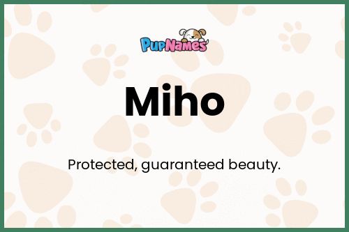 Miho dog name meaning