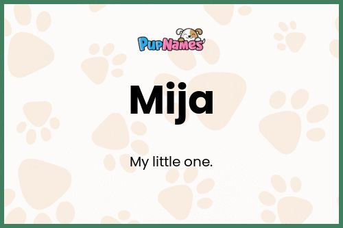 Mija dog name meaning